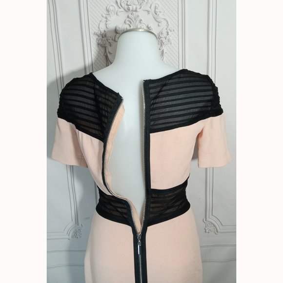 Cache  Mesh Sheath Midi Salmon Pink & Black Lined Dress Flattering Fitted Sz 0 - Picture 5 of 7